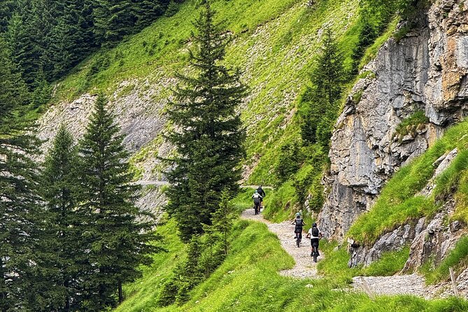 Griesalp UNESCO Alpine E-Bike Adventure from Interlaken - Kiental Setup: Helmets, Quick Coaching, Then You Ride