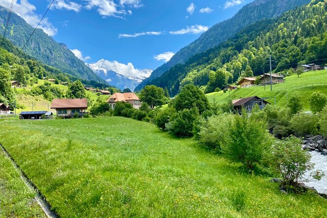 Grindelwald First & Bachalpsee Hiking Tour | From Interlaken - Who this tour is best for