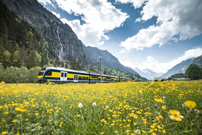 Grindelwald First - Top of Adventure from Zurich - Lunch at Berggasthaus First: convenient, but pay attention to your time