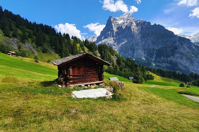 Grindelwald First (Top of Adventure) Ticket incl. Cliff Walk - First Cliff Walk by Tissot: secured cliffs, a suspension bridge, and real wow-factor