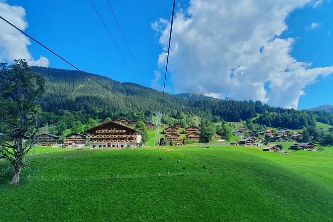 Grindelwald First (Top of Adventure) Ticket incl. Cliff Walk - Firstbahn AG to Grindelwald First: using the gondola return ticket well