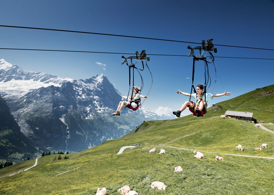 Grindelwald Gondola Ride to Mount First - Paid thrills on Mount First, what’s extra and how to decide