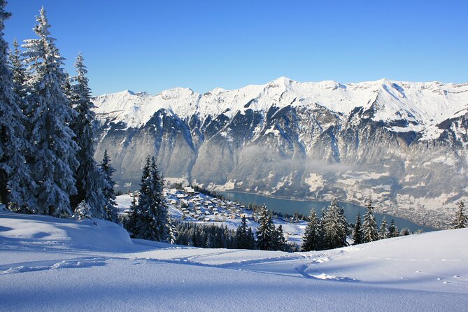 Grindelwald, Interlaken and Lauterbrunnen Day Trip from Lucerne - What to Pack and How to Use Your Free Time