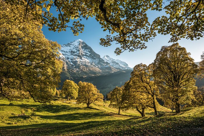Grindelwald, Interlaken & Lauterbrunnen Day Trip from Zurich - Who this tour suits best, and who might want a different plan