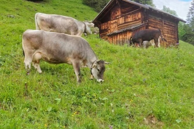 Grindelwald, Lauterbrunnen Lungern Interlaken Semi-Private - Giessbach Falls Walk: Views, a Hotel Backdrop, and a Loop Trail