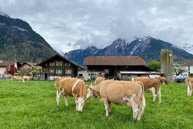 Grindelwald, Lauterbrunnen & Mürren Private Day Trip from Zurich - Lauterbrunnen Valley and the Waterfall Walk