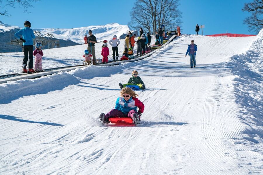 Grindelwald: Sledding at Bodmi Arena - The sled setup: where you ride and how the day flows