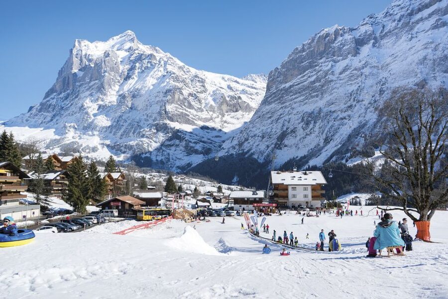 Grindelwald: Sledding at Bodmi Arena - What you get for your money: magic carpet admission and sled rentals