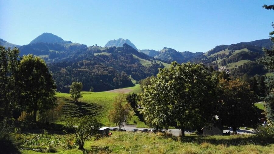 Gruyères, Cheese and Chocolate: Private Tour - Medieval Gruyères village time, and what to do with it