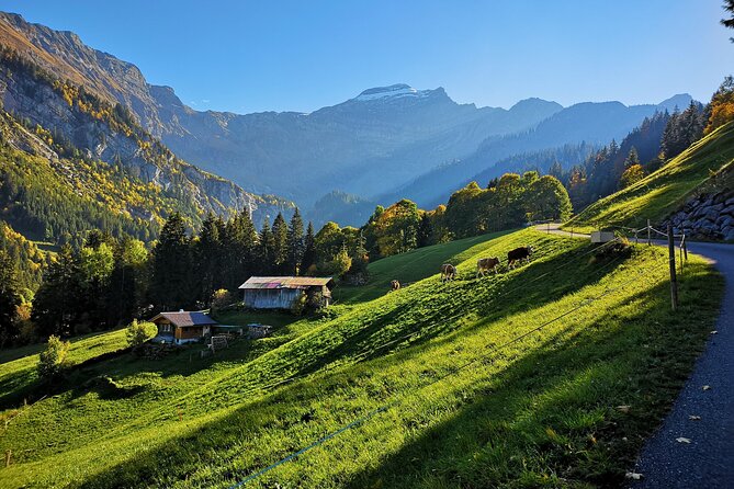 Guided Excursion to Jungfraujoch, Grindelwald and Lauterbrunnen from Lucerne - Practical tips that can save your trip