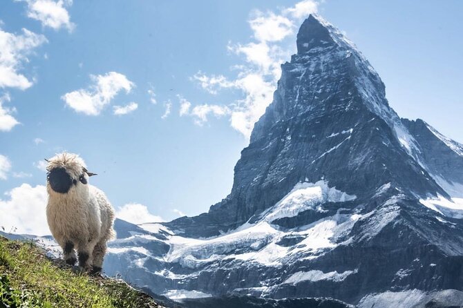 Guided Hiking Full Day in Zermatt - Stop 2: Stellisee, for the calm side of Zermatt