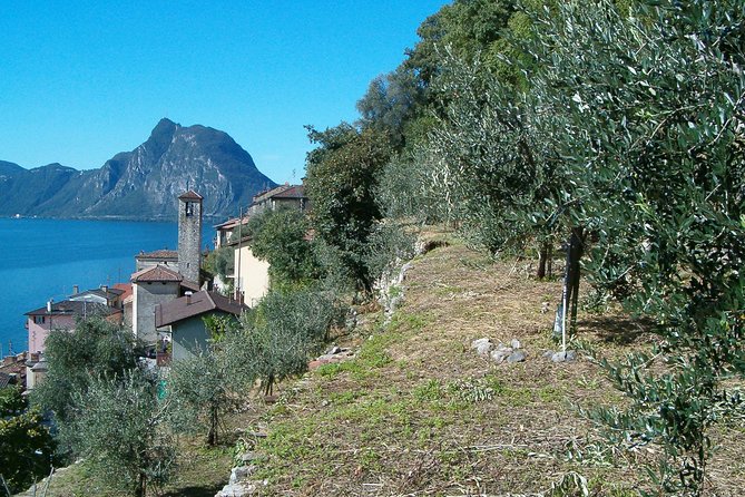 Guided Walk from Lugano to Gandria promoted by Lugano Region - return by boat - Cantine di Gandria and grotti ideas, plus how the area is set up for food breaks