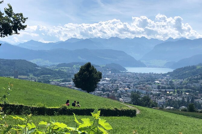 Half-Day Lake Lucerne Country Walk - A guide who keeps the day moving, even in bad weather