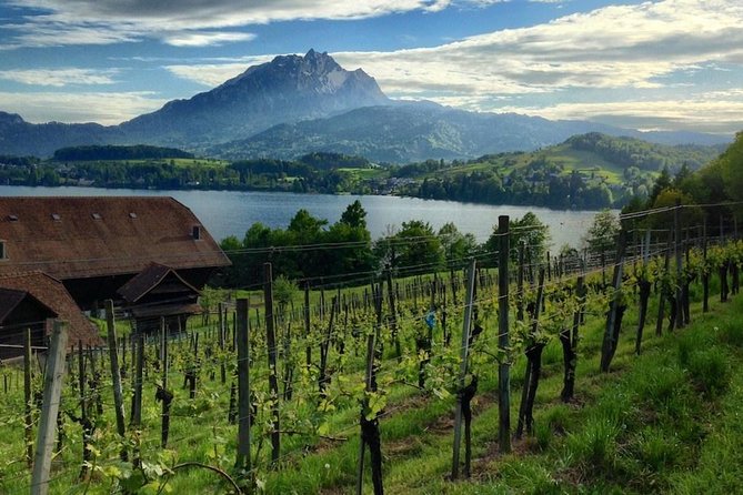 Half-Day Lake Lucerne Country Walk - The walking route, and what you’re there to see