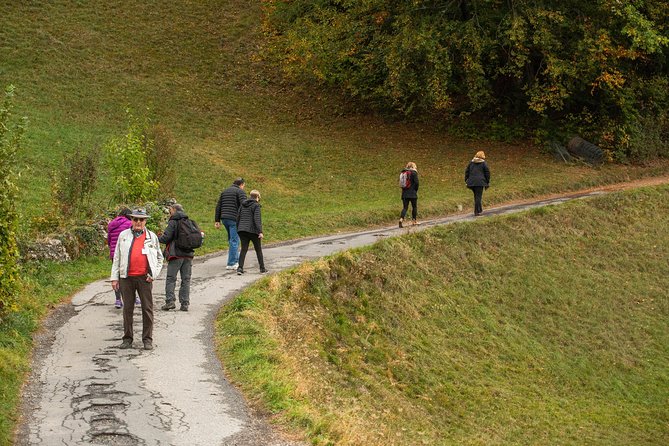 Heidiland and Liechtenstein Tour from Zurich - Who This Tour Suits Best (And Who Should Skip It)
