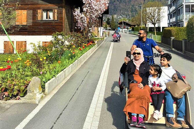 Hidden gems e-bike tour with picnic at Lake Brienz - Small group size up to 4: what that changes on an e-bike