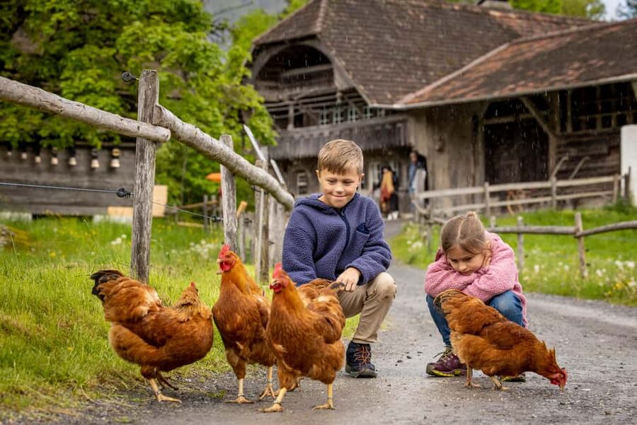 Interlaken: Admission ticket for the Ballenberg Open-Air Museum - Food on Site: Restaurants, Picnic Spots, and Wood-Fired Bread