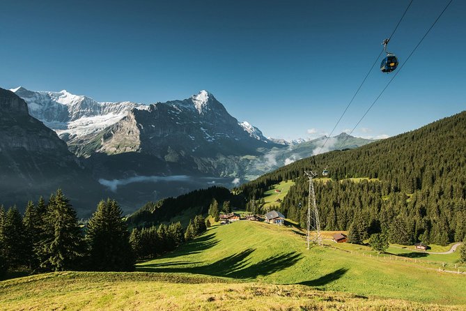Interlaken and Grindelwald Day Trip from Lucerne - The guide factor: what to expect from narration and behavior