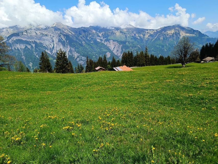 Interlaken: Highlights Tour with a Local by Private Car - Key things I’d watch before you book
