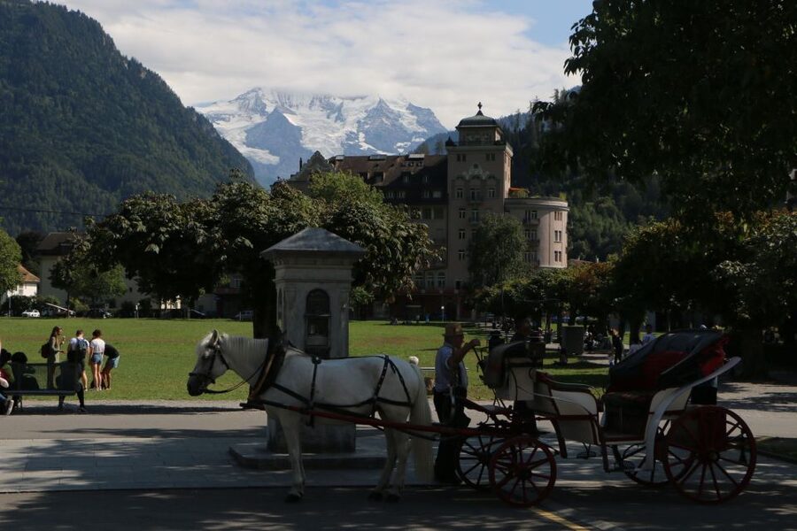 Interlaken: Highlights Tour with a Local by Private Car - Rain or shine: what changes, what stays the same