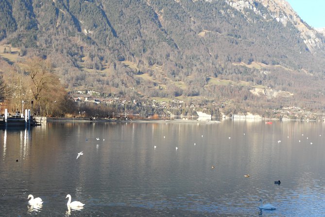 Interlaken Private Tour: Mountains Cows, Thun Lake, and Brienz Lake - Eiger, Mönch and Jungfrau views from Luegibrüggli