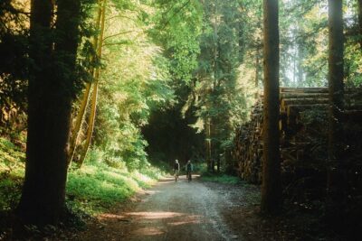 Interlaken Valley E-Bike Tour: Rivers, Lakes, Forests & Castles