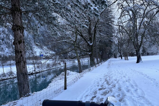 Interlaken Valley Winter E-Bike Tour: Rivers, Lakes & Castles - Lake Thun stop: a short photo break with big payoff