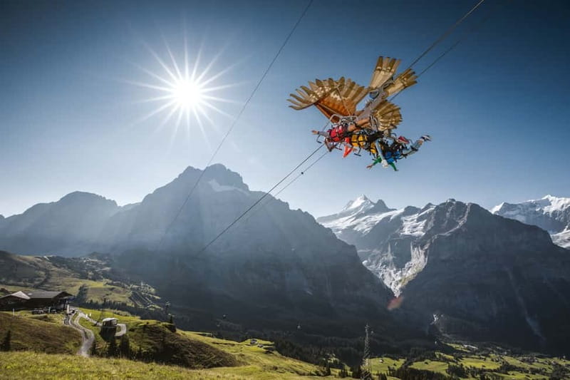 Jungfrau: Travel Pass for 3 to 8 Days - Schynige Platte and Wilderswil: A Side Trip That Fits a Short Day