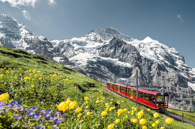 A red cogwheel train climbing through alpine meadows below the Eiger