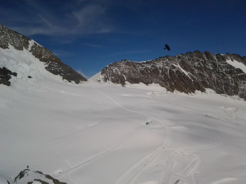 Jungfraujoch Top of Europe Private Day Trip from Bern - Alpine Sensation inside the mountain