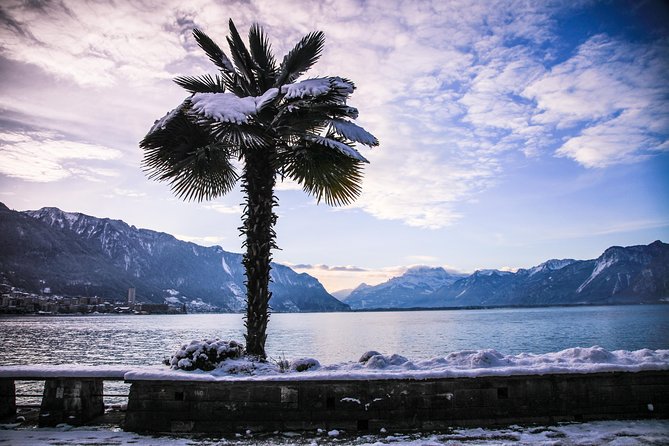 (KTG303) - Winter Montreux, Chillon & Chaplin's World from Geneva - Lavaux UNESCO heritage stops: quick views that are actually worth the pause