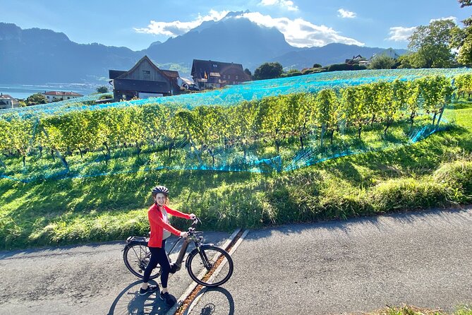 Lake Lucerne Peninsula e-Bike Tour - Key points before you go