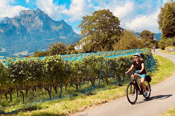 Lake Lucerne Peninsula e-Bike Tour - Starting at Torbogen Luzern Bahnhofpl, and why the 3:00 pm slot is convenient