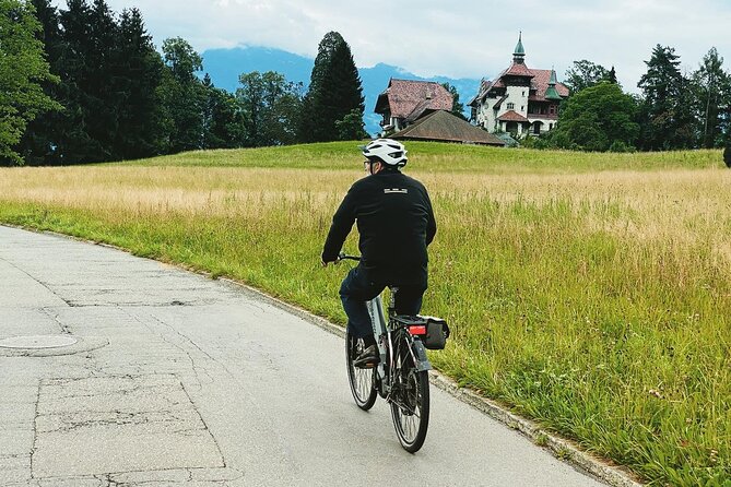 Lake Lucerne Peninsula e-Bike Tour - E-bikes, helmets, and bike sizing that actually matters