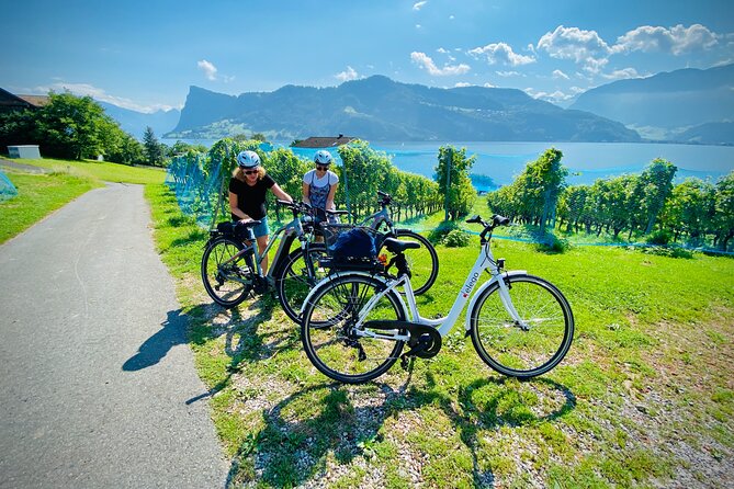 Lake Lucerne Peninsula e-Bike Tour - Duration, physical effort, and what “moderate” means in real life