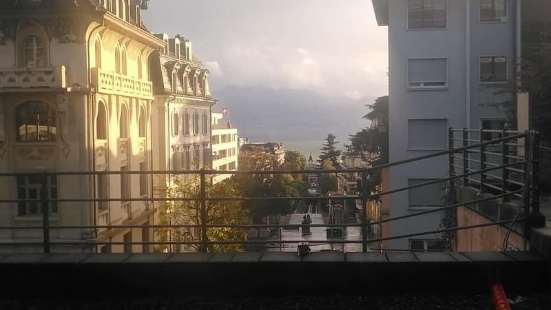 Lausanne: Cultural and Historical Guided Walking Tour - Meeting at MHL, then getting oriented without rushing