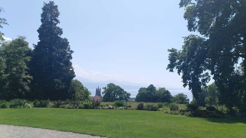 Lausanne: Cultural and Historical Guided Walking Tour - Place de la Riponne to Place de la Palud and the town hall