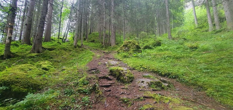 Lauterbrunnen: Private Walking Tour with an Irish Guide - Key highlights I’d plan around