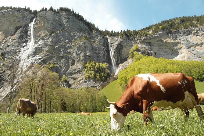 Lauterbrunnen Valley Waterfalls E-bike Tour with Swiss Picnic - Price and what $344.31 per person really buys