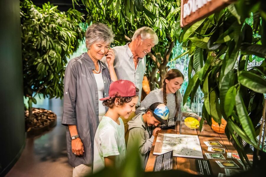 Lindt Home of Chocolate Museum Entry Ticket - The tasting room: unlimited samples, plus smart pacing tips