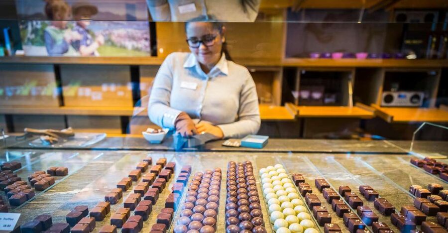 Lucerne: Chocolate Tasting with Lake Trip and City Tour - Key highlights worth your attention