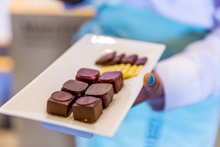 Lucerne: Chocolate Tasting with Lake Trip and City Tour - Who This Tour Suits Best