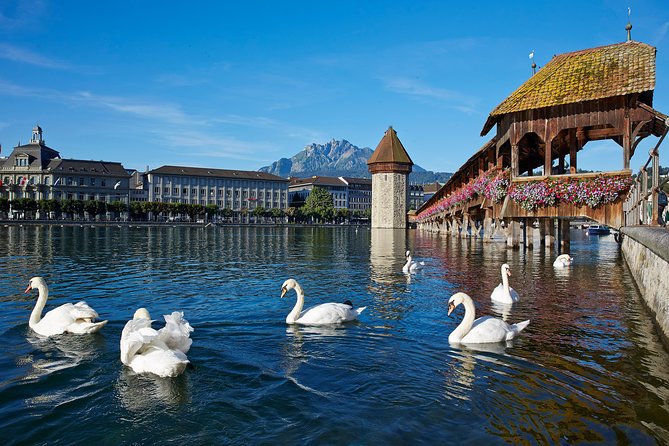 Lucerne Day Trip from Zurich Including Lake Lucerne Cruise - Lake Lucerne Cruise: The Highlight That Changes the Day