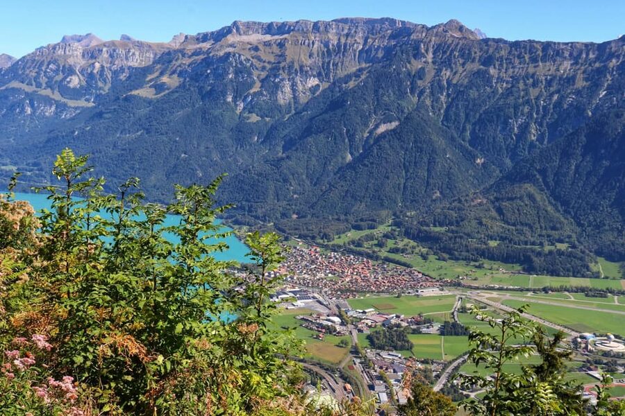 Lucerne: Interlaken & Grindelwald Exclusive Private Day Tour - Key things I’d watch for before you book