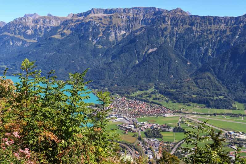 Lucerne: Interlaken & Grindelwald Exclusive Private Day Tour - Lucerne to Interlaken, Grindelwald, and the Alpine Views you actually remember