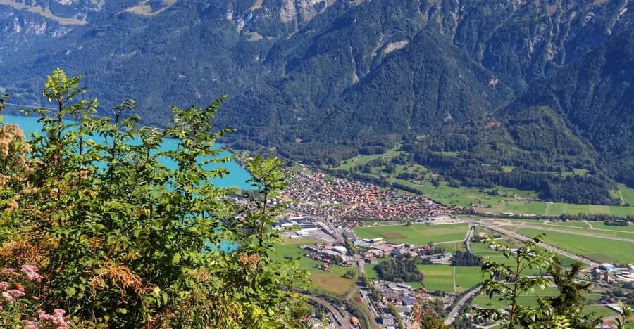 Lucerne: Interlaken & Grindelwald Exclusive Private Day Tour - Interlaken town time: walkable, shops and cafés, with lake and mountain backdrops
