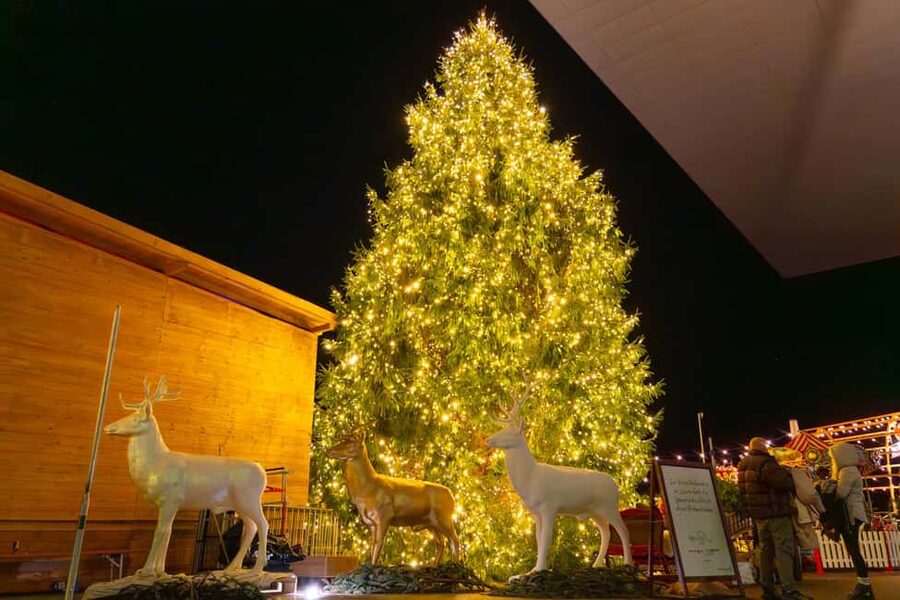 Lucerne: Lake Cruise & Old Town Tour w/ Guide & Photographer - Finish at Lucerne Culture and Congress Centre, with Christmas markets time