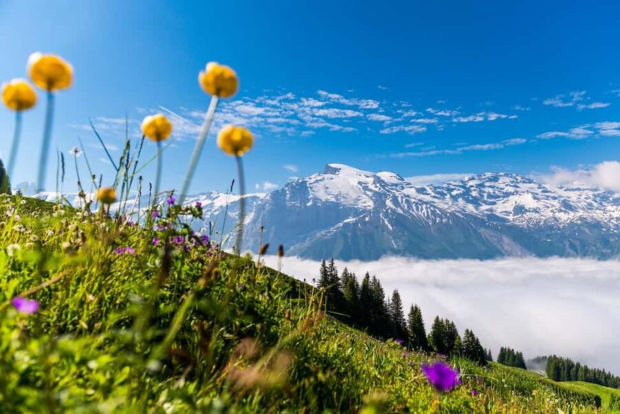 Lucerne: Mount Titlis Day Trip with Cable Car Ride - How the route brings value for your money