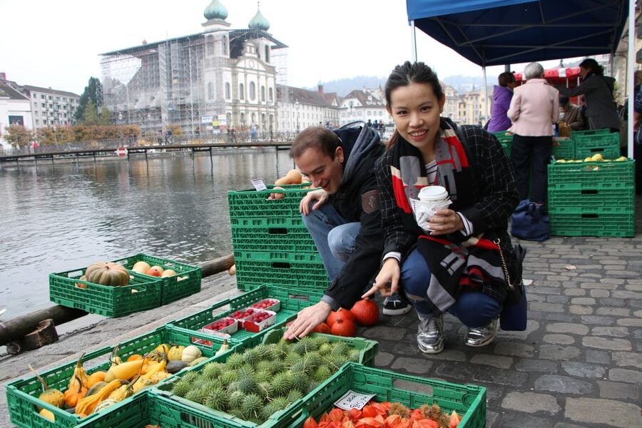 Lucerne: Private Walking Tour with a Local Guide - Chapel Bridge and Lion Monument, the classic loop done the practical way