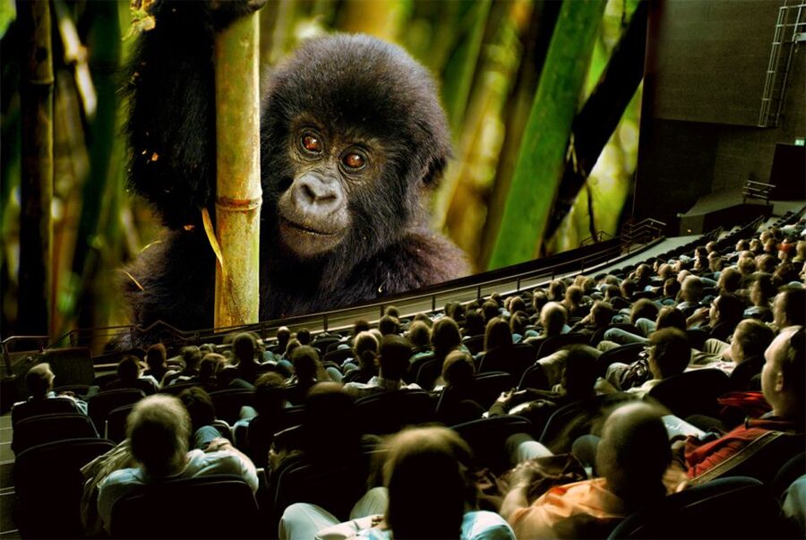 Lucerne: Swiss Museum of Transport Full Day Pass - Filmtheatre and Planetarium shows, science that fits a one-day plan